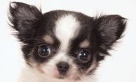 test1